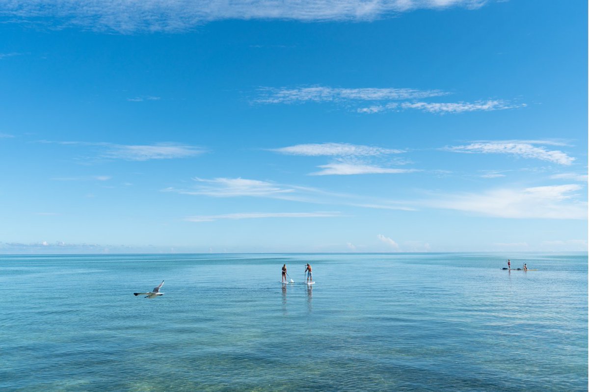 Islander Resort (@islander_resort) on Twitter photo How far will you go?  
Contact Islander Girl Snorkel & Tours today to experience the Keys like a local!
islandergirltours.com How far will you go?  
Contact Islander Girl Snorkel & Tours today to experience the Keys like a local!
islandergirltours.com