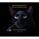 Photo by Hurricane PetsRescue (@HPRESQ)
