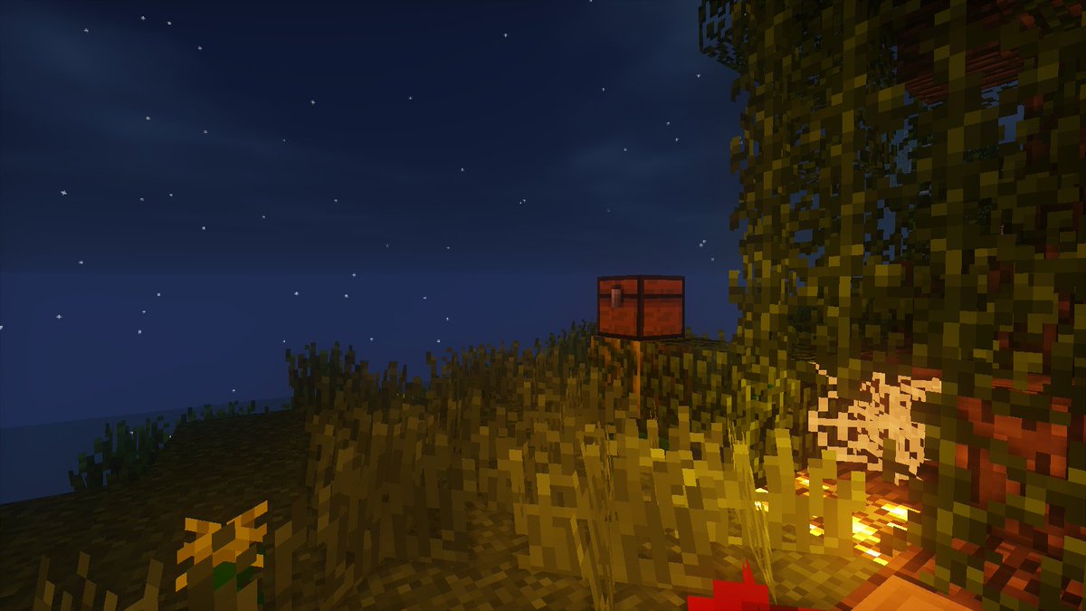 Pocket Chunk Java tweet media