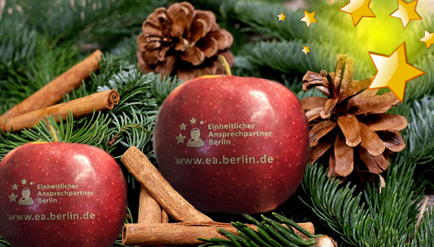 Berlin_EA's tweet photo. Der Einheitliche Ansprechpartner Berlin wünscht allen schöne Weihnachten und ein erfolgreiches neues Jahr 2020 🎄🎅 https://t.co/KVUKhdMzP8