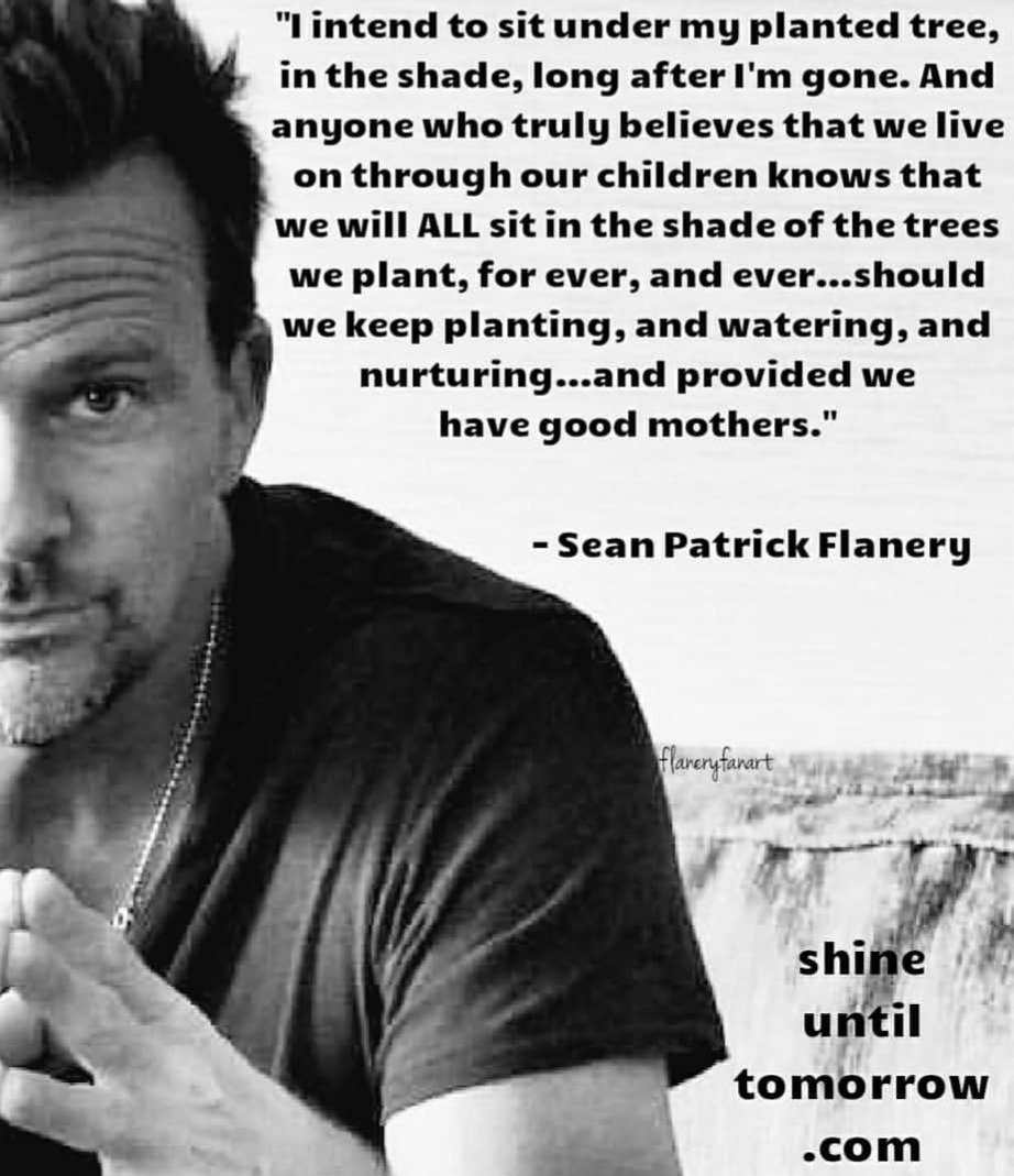 xBeautyAndRagex's tweet photo. "I intend to sit under my planted tree, in the shade, long after I'm gone. And anyone who truly believes that we live on through our children..." @seanflanery #SeanPatrickFlanery #author #writer #shineuntiltomorrow https://t.co/nptugyDraK