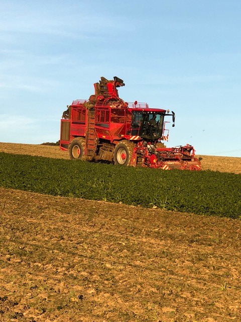 #Sugarbeet Variety Advice for 2020, Robin Limb offers his advice on making the right seed selections. strube-sugarbeet.co.uk/news/sugar-bee…