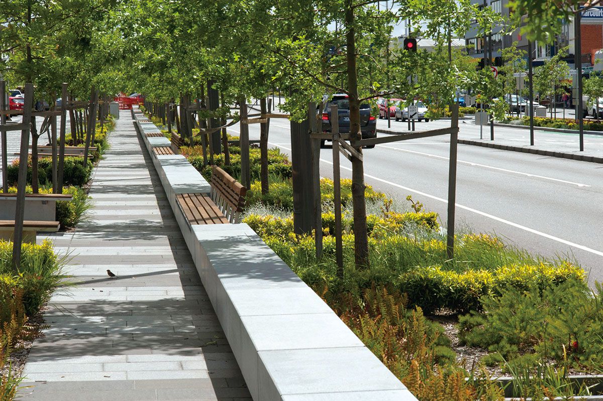 озеленение дорог. парк краснодар мощение. ландшафт улицы. зоны тротуара. пешеходный тротуар.
