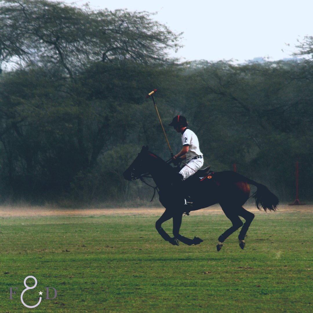 ExperienceFandD's tweet photo. Do you dream of winning a polo match? Polo is one of the oldest and prestigious team sports. 🏇

Footprints and Dreams can jet you over to an exclusive polo club in Dubai and you can try your hand at camel polo!

Find out more: 
https://t.co/M3KVQ3A0ql #polo #experience https://t.co/A0ZxnTUVbr