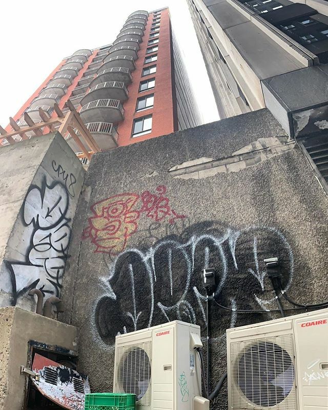 BombingScience's tweet photo. Dope flick of some of DEEP's throws's outta Montreal.ā
ā
@deepestartsā
ā
#graffiti #graffmtl #graffitithrowup #bombingscience https://t.co/mtTrk7O20I | https://t.co/xs36pH0zal