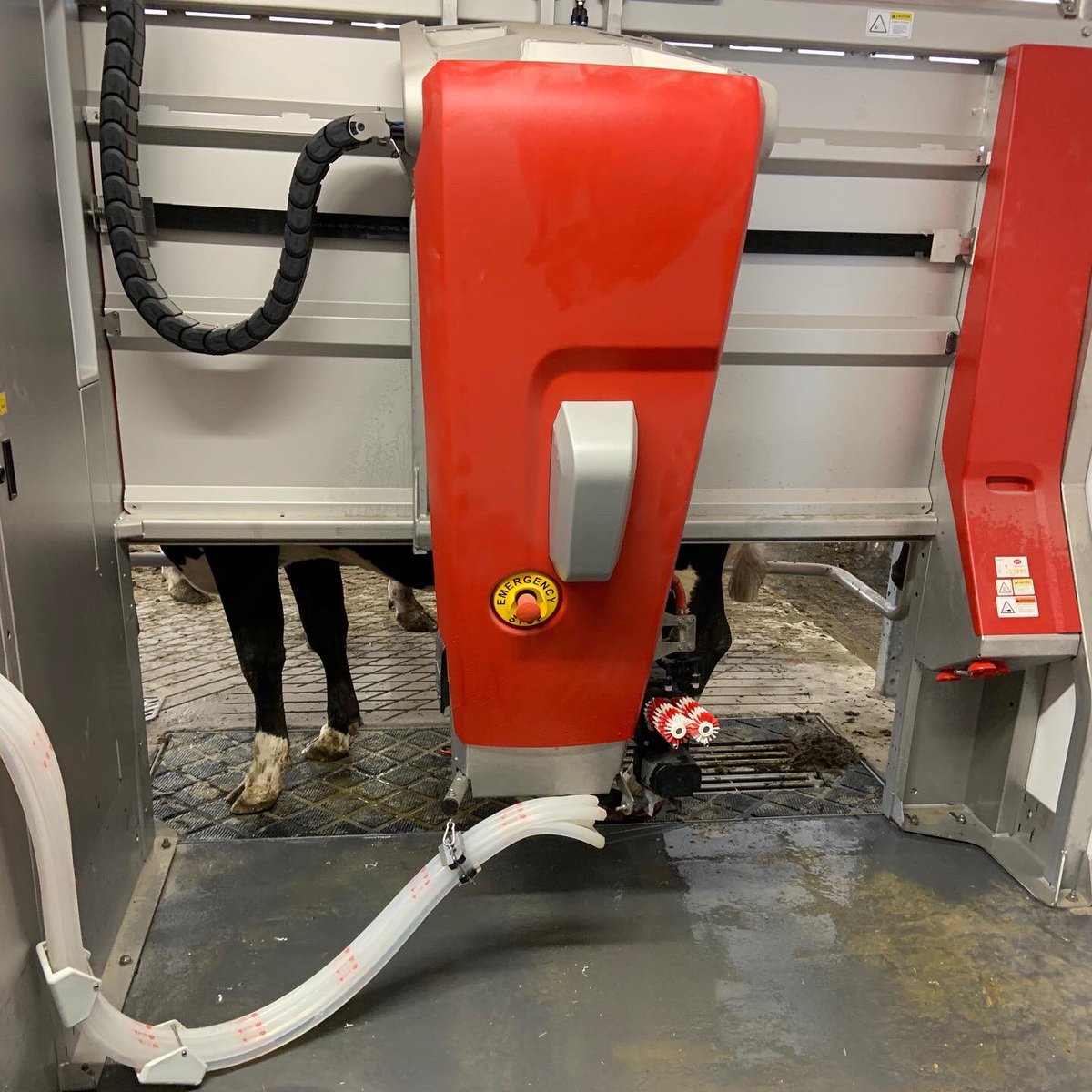 Congratulations to Swisslane Farms on their successful startup yesterday. 

Work by <a href="/Avonbank_Ag/">Avonbank</a> features Lely A5 robot, Canarm stabling, Bulk Tech Bin, Superior Mats &amp; AP Flex Auger system. #startup2019