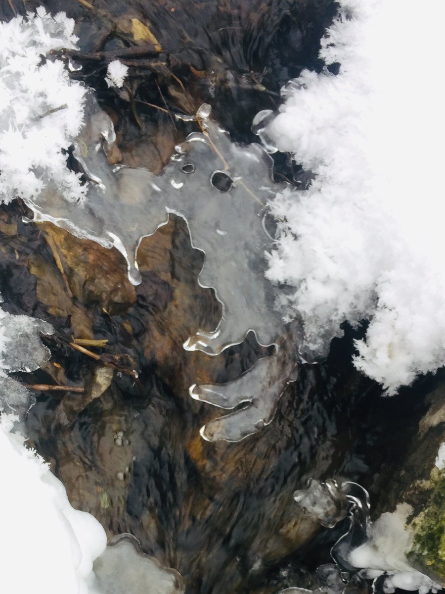 PBWeiss's tweet image. Nature’s ice art on small creek I cross to hunt deer.  Seen four.  Goofed on getting a shot at one.  Windier than I expected.