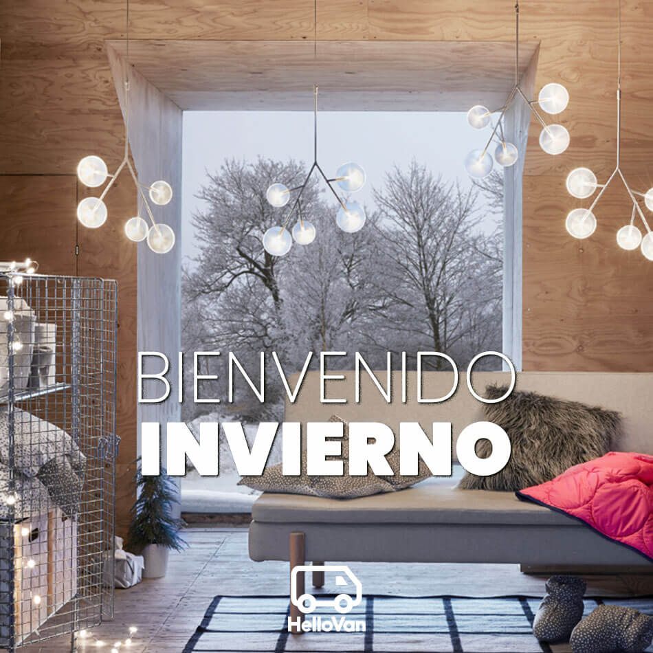 HelloVan tweet media