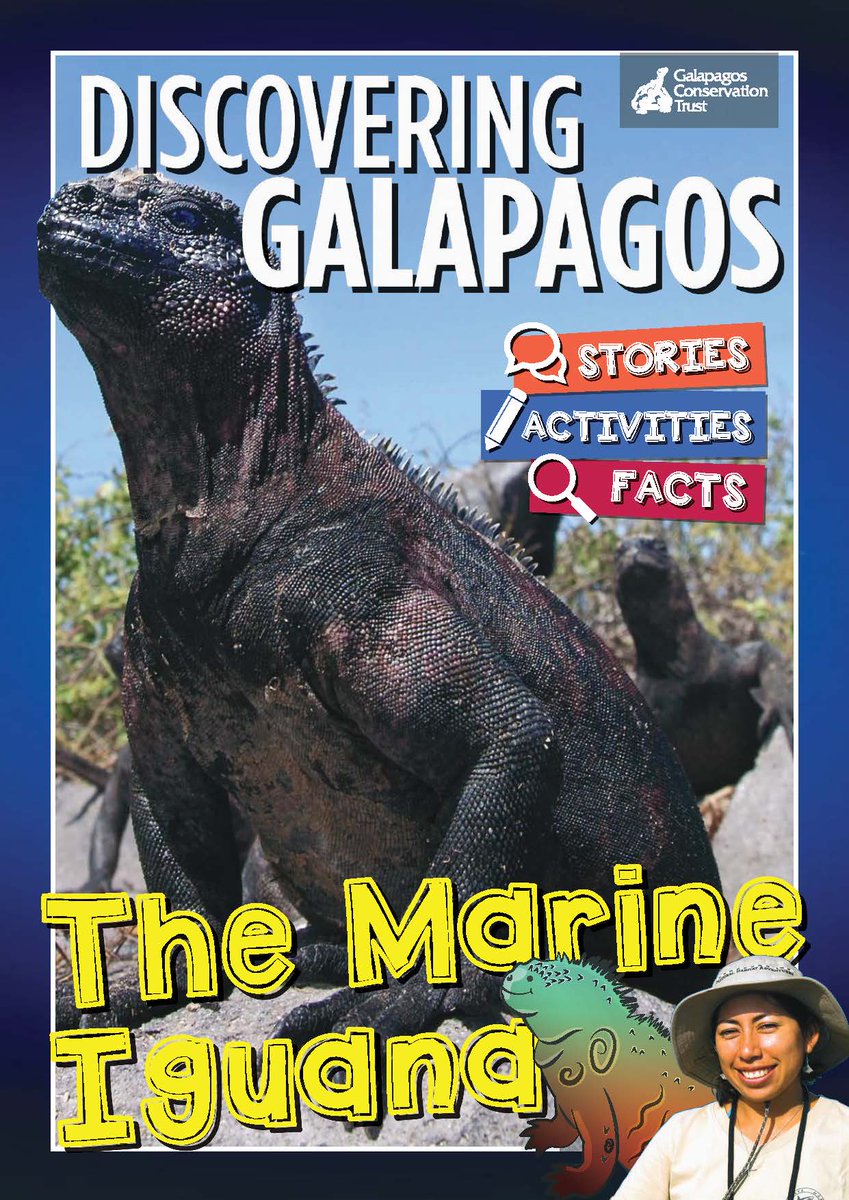 discgalapagos's tweet photo. Have you got kids at home bored during the Christmas holidays? 🤔 What is a marine iguana? 🦎 

Have a look at our amazing magazine ‘The Marine Iguana’ and discover stories, activities and facts about these "Diving Dragons" https://t.co/9iDDRsdE7v  #DiscoveringGalapagos #Wildlife https://t.co/ZkTK3NX0jm