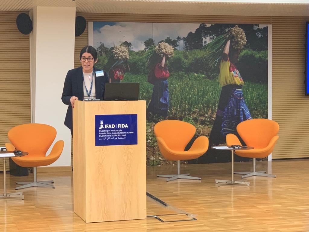 KaaweNancy's tweet photo. Learning the principles of #IFAD #ProjectProcurement with a great team of experts... This is what experiencing @IFAD means! A three-days intensive Workshop to deepen our awareness of the revised @IFAD policies on Project Procurement!
#NENWorkshop #OPR #APR #ProjectProcurement https://t.co/TEc5Sr3nHJ