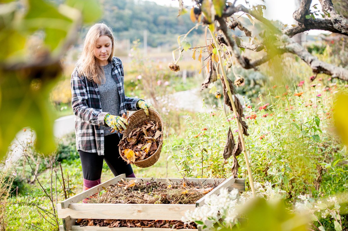 josocblau's tweet photo. Sabies que els aliments poden moure automòbils? Tot el rebuig orgànic pot destinar-se a elaborar #compost que es destina a produir biogàs per fer funcionar motors i mecanismes que fins ara només funcionaven amb derivats del petroli. Consells de @ArSostenibles per #JoSocBlau https://t.co/KeMx3W0R3u