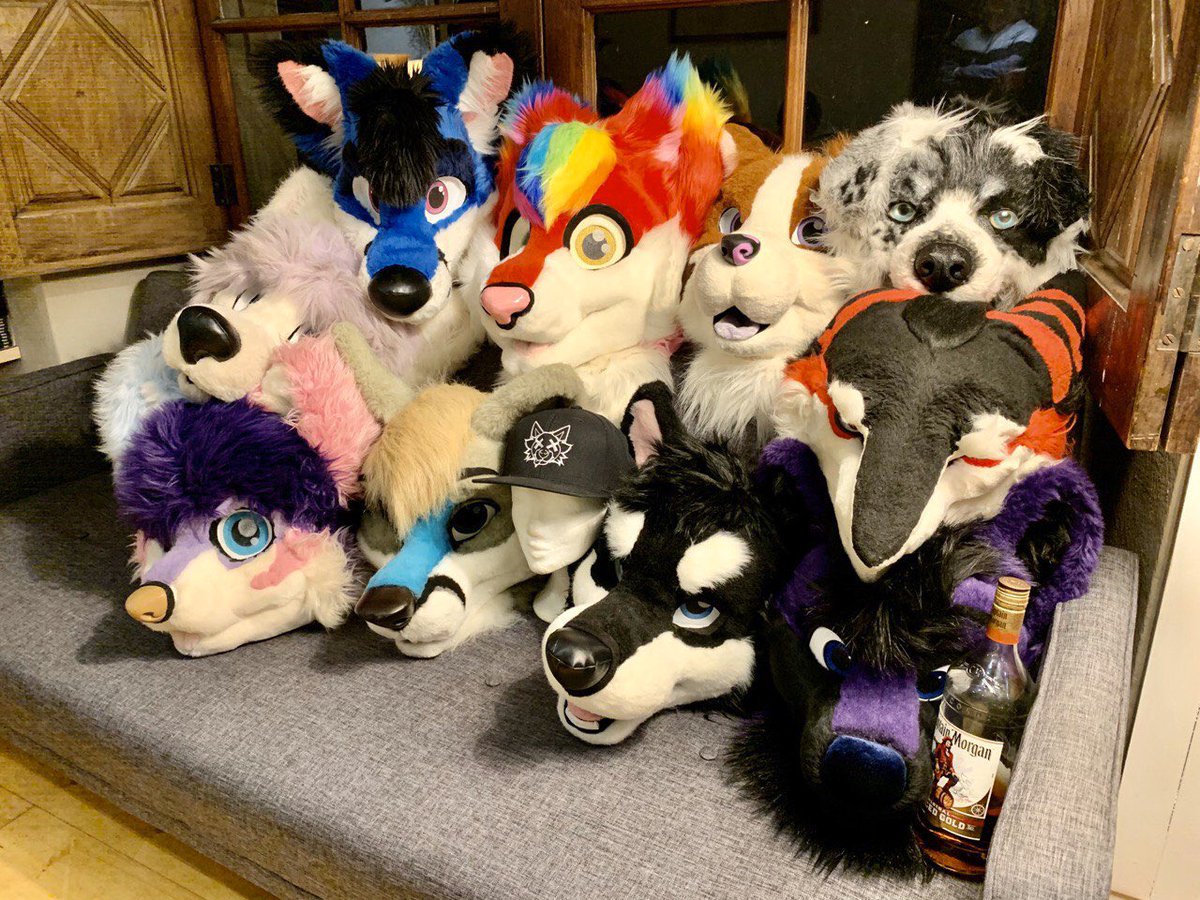 Aster Sergal tweet media