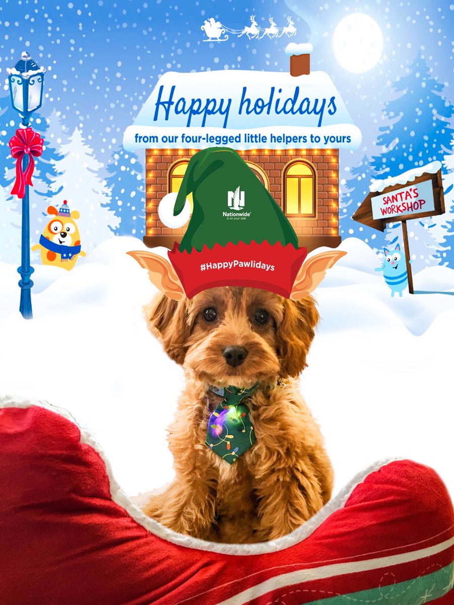 Erica Deel tweet media