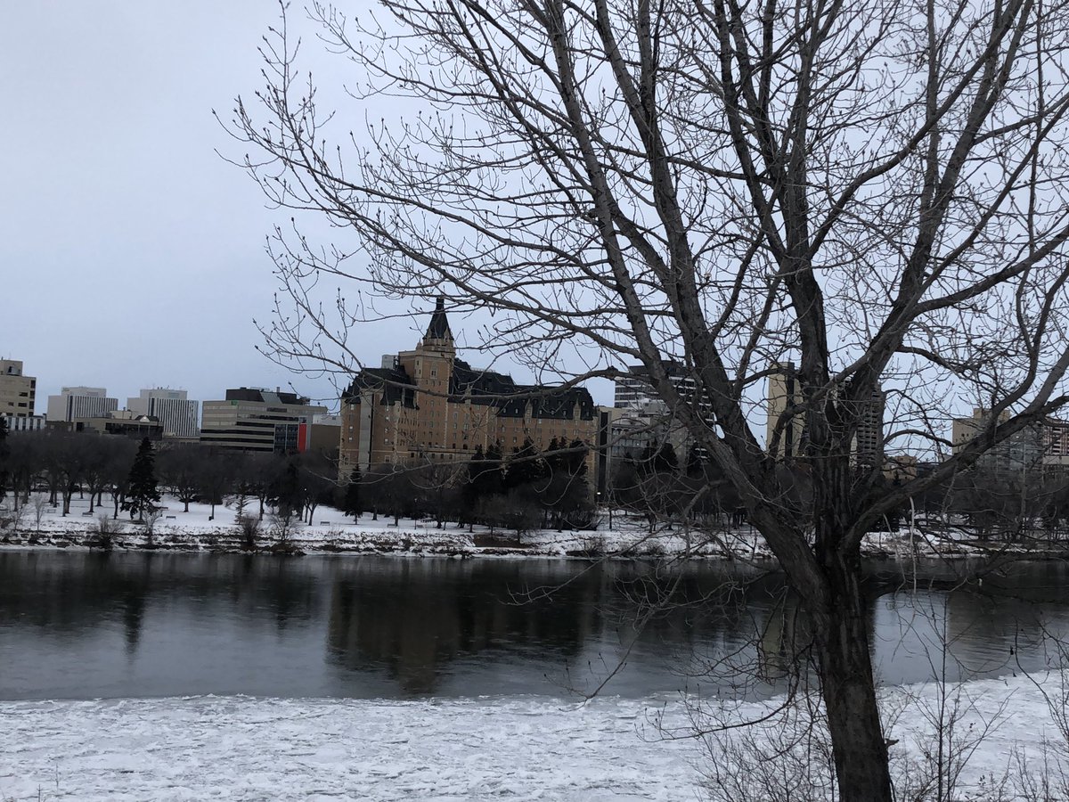 greystone75's tweet photo. Beautiful winter morning for a run in Saskatoon, run one of my favourite trails in Saskatoon, great city to run in. Feels good to remain active while undergoing chemo therapy. #beatcancer #everydayisagift #runningisagift #runsaskatoon https://t.co/vBSI9Ad4xp