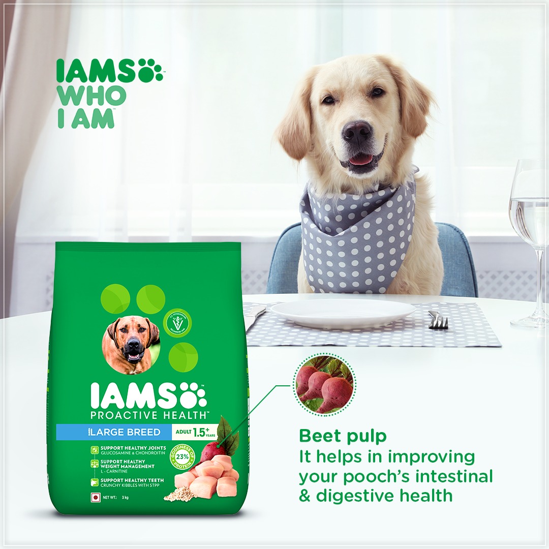 IndiaIams's tweet photo. An important ingredient in IAMS pet food, beet pulp is a source of fibre for your pet and leads to good digestive health. #TailoredRecipesFromIAMS #IAMS #IAMSWhoIAm #UniqueBest
#dog #dogs #doglover #doglove #petfood #pet #pets #petlove #petlovers #ingredients #beet #fibre https://t.co/Mxsb4WzCzH