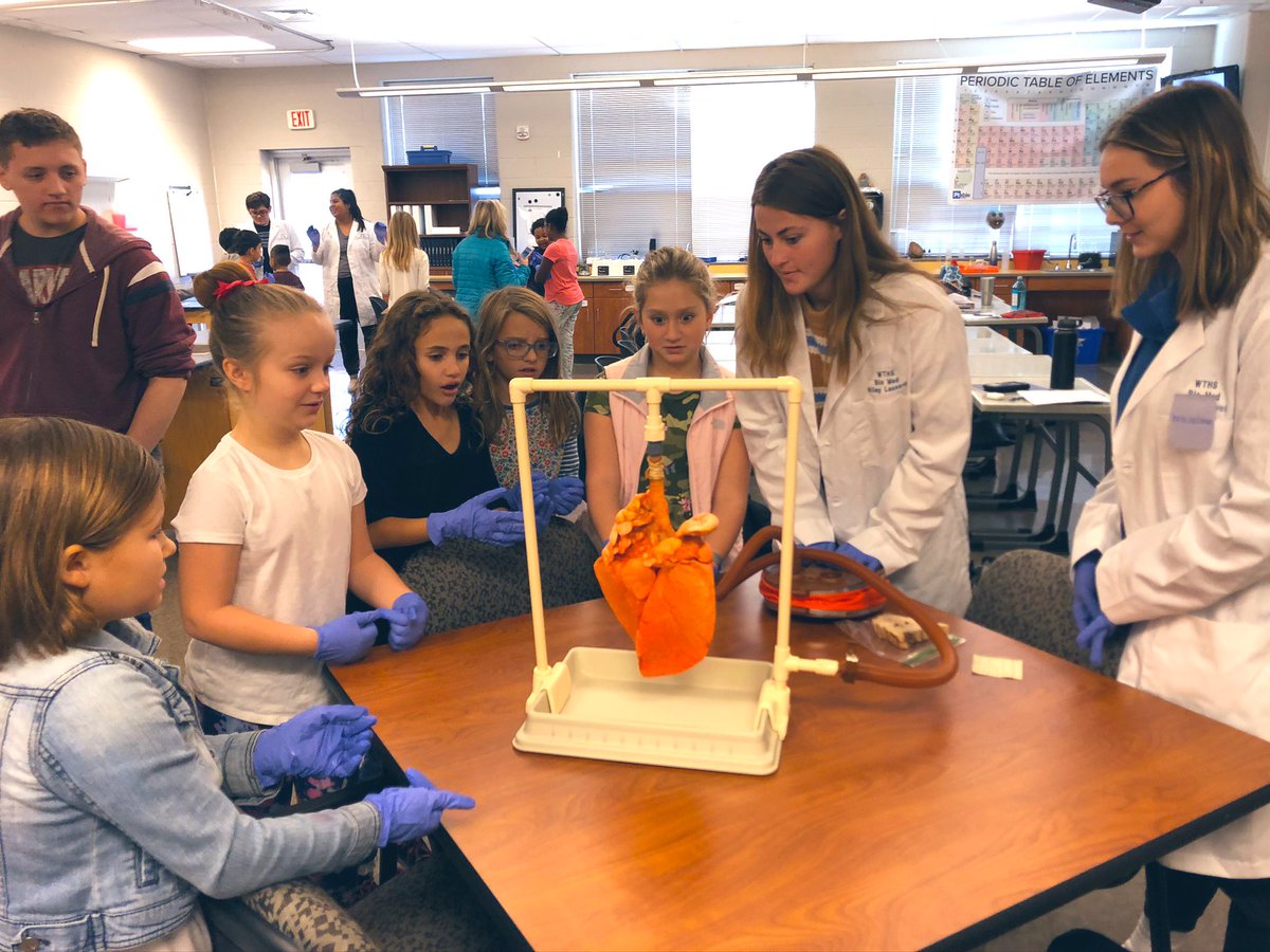 JSHoward88's tweet photo. @OCESDolphins 3rd grade students toured @WorcesterTHS a few weeks ago & even got to operate cow lungs😳 #CTE #STEM #PLTW #Trades #collegeandcareerready #WorTech #itsnevertooearlytoplan4thefuture https://t.co/sSIAlTReqB