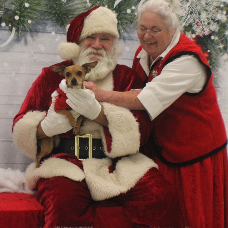 NoBarksAboutIt's tweet photo. Check out some of our favorite shots from the Pet Pictures with Santa fundraiser we held this year! https://t.co/YIKyDBZoD9