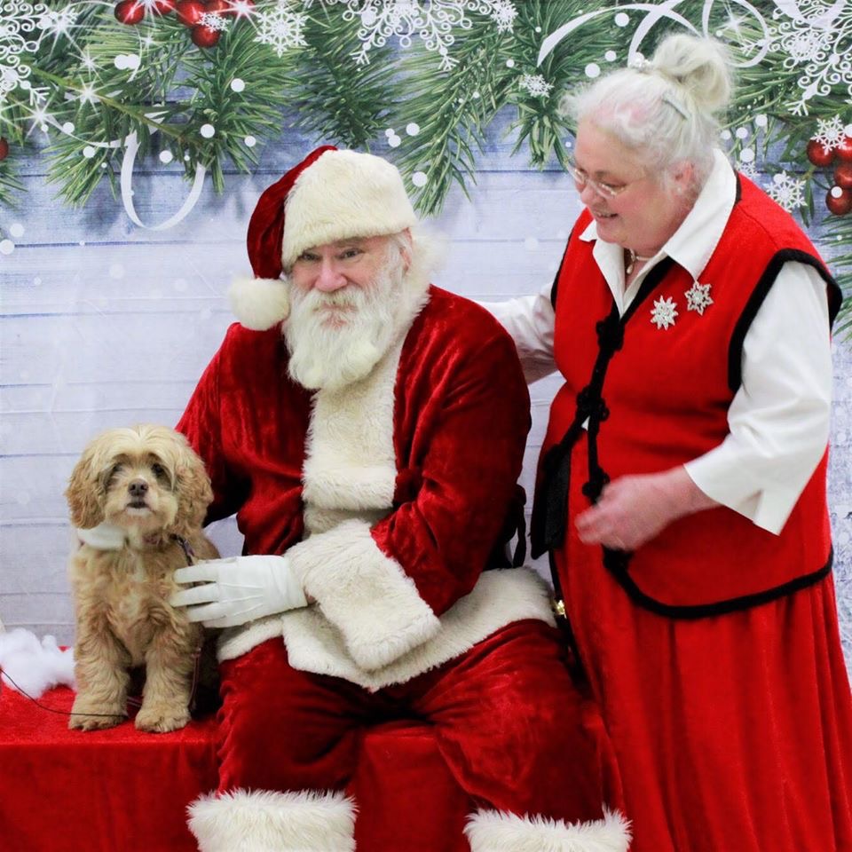 NoBarksAboutIt's tweet photo. Check out some of our favorite shots from the Pet Pictures with Santa fundraiser we held this year! https://t.co/YIKyDBZoD9