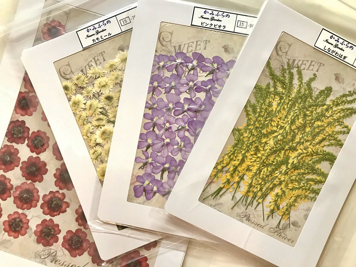 押し花サロン スイートアリッサム 作品集を購入し 押し花作家の杉野宣雄先生にサインをいただきましたღ 販売コーナーもあり 可愛いノートと押し花をget ワークショップは時間がなく断念 もっと時間に余裕を持って来れば良かった