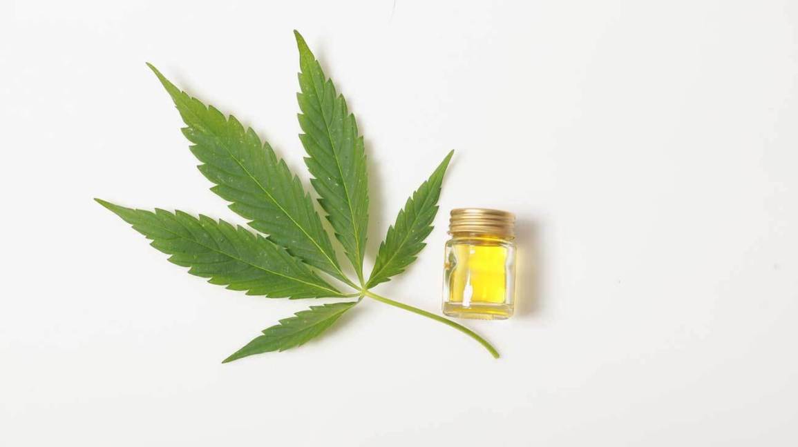 JessiesBranch's tweet photo. At Jessie’s Branch, we believe in the benefits of CBD, however, we are approaching the industry differently.  Click to learn more about us!
https://t.co/bo73EwYzAx
🙂🍀
.
.
.
#cbd #industry #wholesaling #whitelabeling #partnerships #products https://t.co/xQLwftdxxD