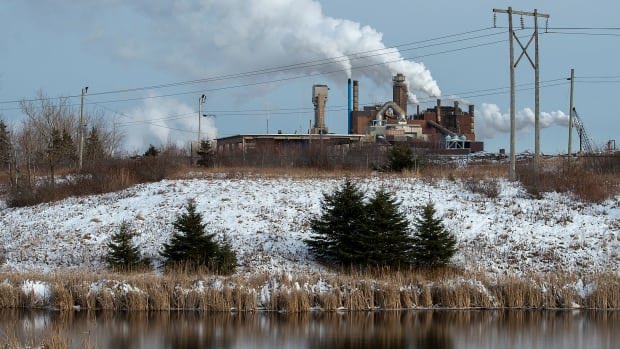 hfxmitch's tweet photo. This is the right decision. The only party to blame here is Paper Excellence, who put profit before their own employees. This is a win for the Pictou Landing First Nation, the residents of Pictou County, and our local fishermen and fisherwomen. 

https://t.co/bovlCirUwa https://t.co/hmgAiMbDOq