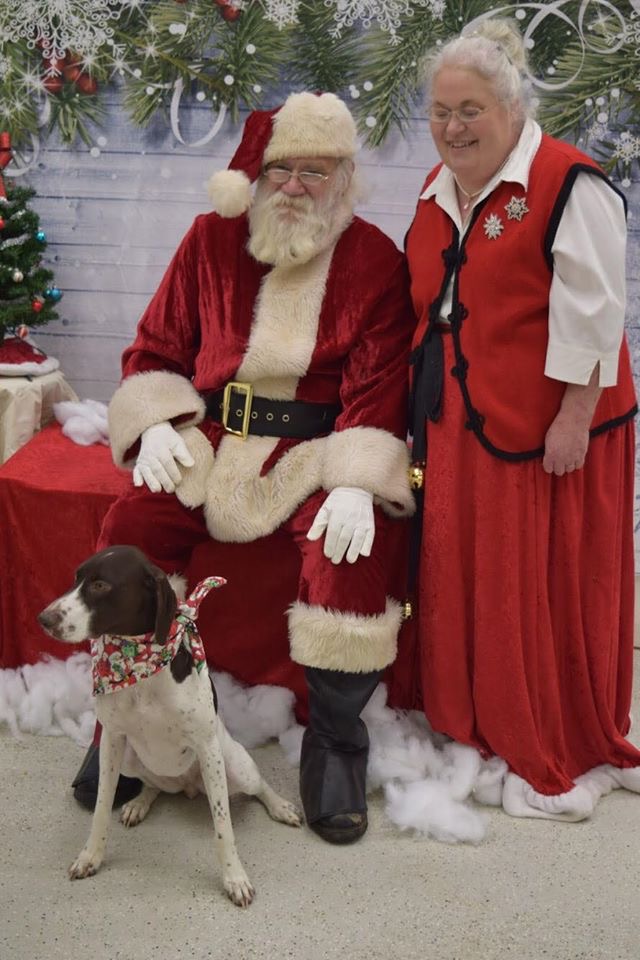 NoBarksAboutIt's tweet photo. Check out some of our favorite shots from the Pet Pictures with Santa fundraiser we held this year! https://t.co/TKXT5L3pU1