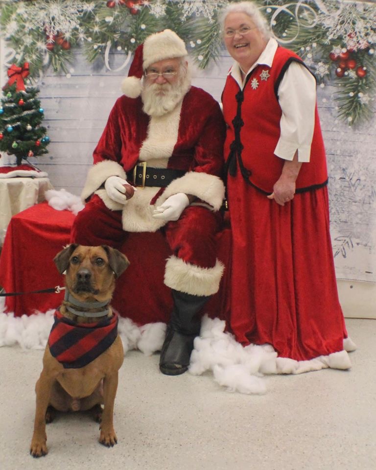 NoBarksAboutIt's tweet photo. Check out some of our favorite shots from the Pet Pictures with Santa fundraiser we held this year! https://t.co/TKXT5L3pU1