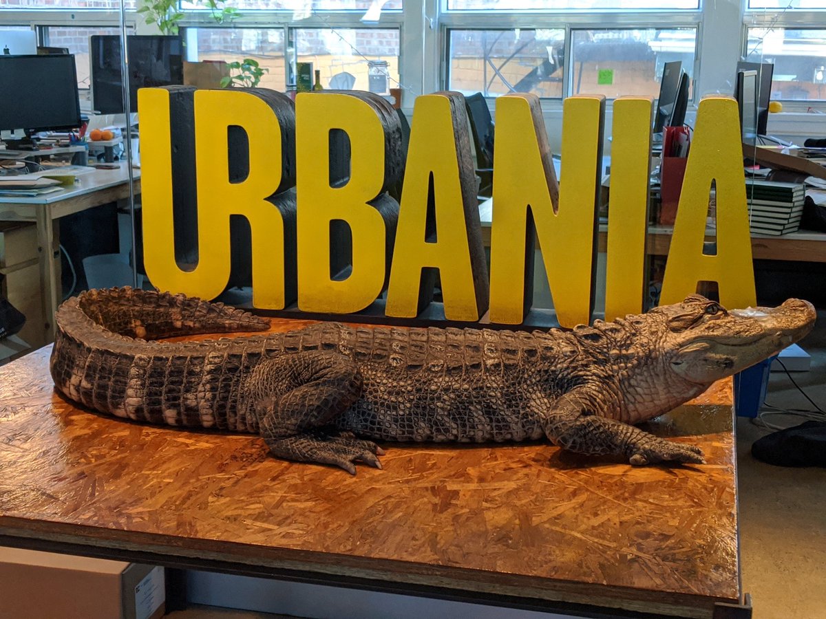 #spotted, un alligator chez <a href="/URBANIAMedia/">URBANIA MEDIA</a> !