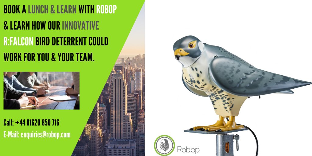 Robop_Ltd's tweet photo. Have you heard of Robop's #Lunch &amp; Learn? We'll travel to your #UK #business, provide a free &amp; tasty lunch &amp; present everything your team needs to know about the R:Falcon bird control. 🥪

Book today at: 📩 enquiries@robop.com or call us on:📱 +44 01620 850 716 https://t.co/UTKj2053CE