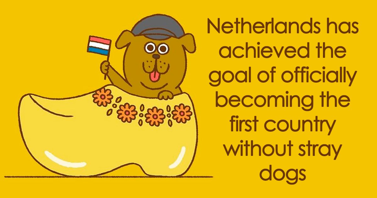 NewHarbinger's tweet photo. Looking for some good news from 2019? Here are some illustrations of the best of this year. #goodnewshttp://bit.ly/2rYrJsR https://t.co/DfvypMUqE3
