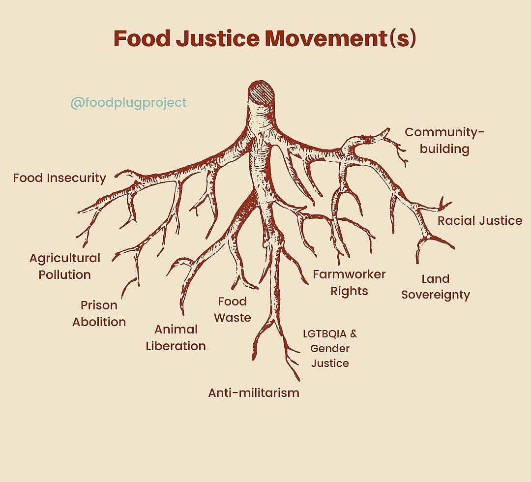 Happy #FoodJusticeFriday.  What is your root in the #foodjustice movement?  I will add an anti-capitalism root to this and also a environmental justice root map next to it.