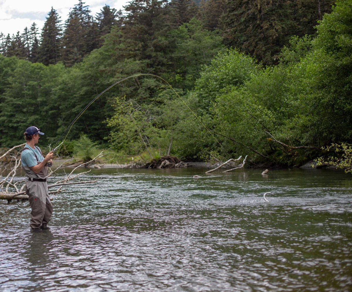 WetflyFish's tweet photo. Cheers to a fishy holiday weekend 🎣🍻 #wetflyfish https://t.co/aITISb4PnV