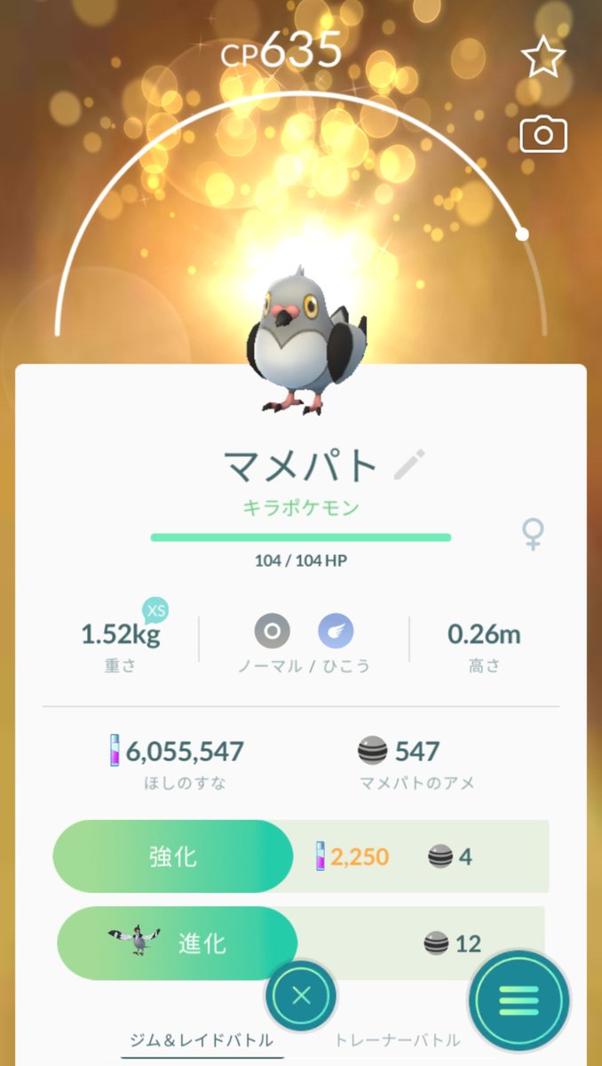かっちゃん ８ ８gofest横浜 A Twitter 昨日ポケモンｇｏでゲットしたキラポケモンその４ キラマメパト ２匹目 お互いに昨日 おととい ゲットした マメパト を交換したら キラマメパト になりました みんポケのカウンターリストを見たら 最終進化