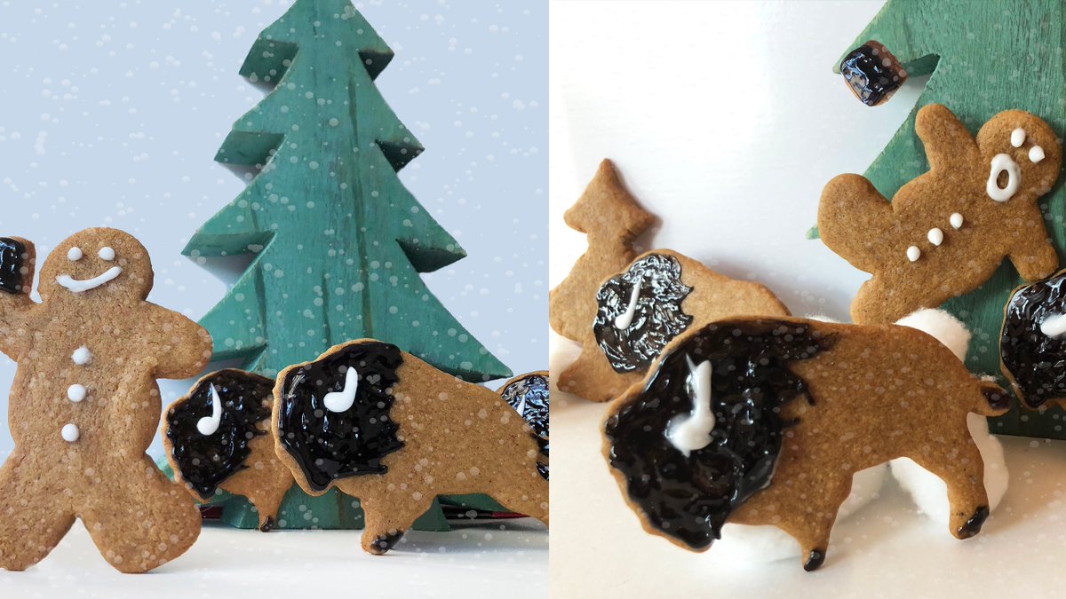 National Park Service tweet media