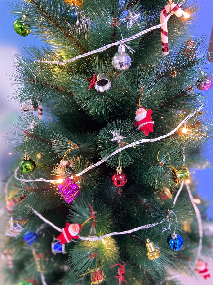 CodifyIndi's tweet photo. Dear Santa, just leave your credit card under the tree 🌲 😊🎅🤶 #codifyindi #ChristmasTree https://t.co/DRyvnONqFo