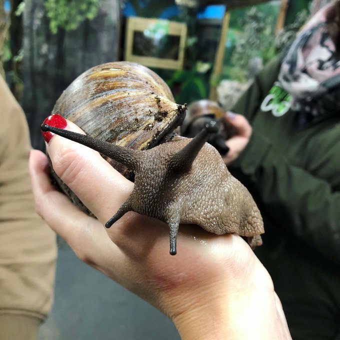 Watch Rhian Sugden's leaked NSFW photo on TwXstars