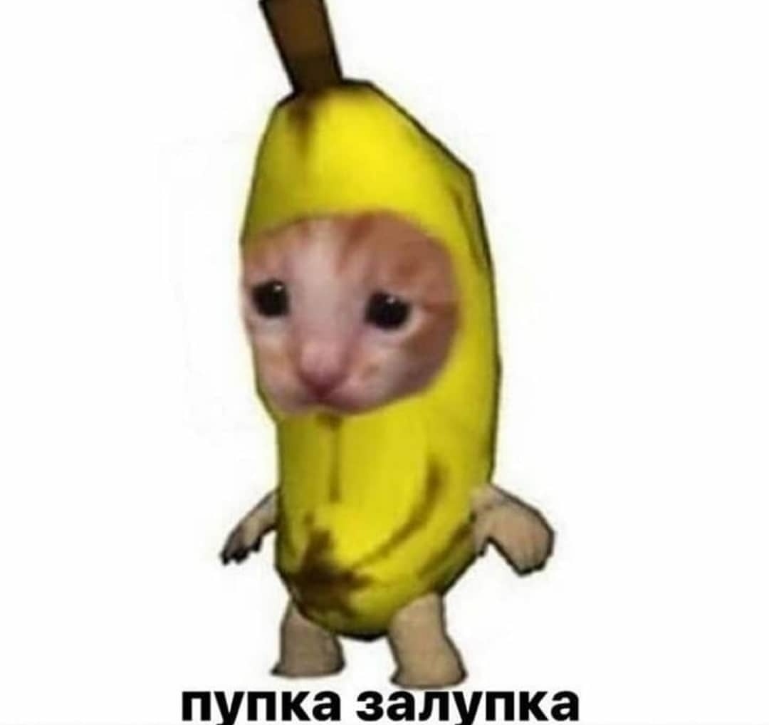 laZy_cAtes's tweet photo. @Patrickterno Ничего нового🌚 https://t.co/VTuXJP8wn9