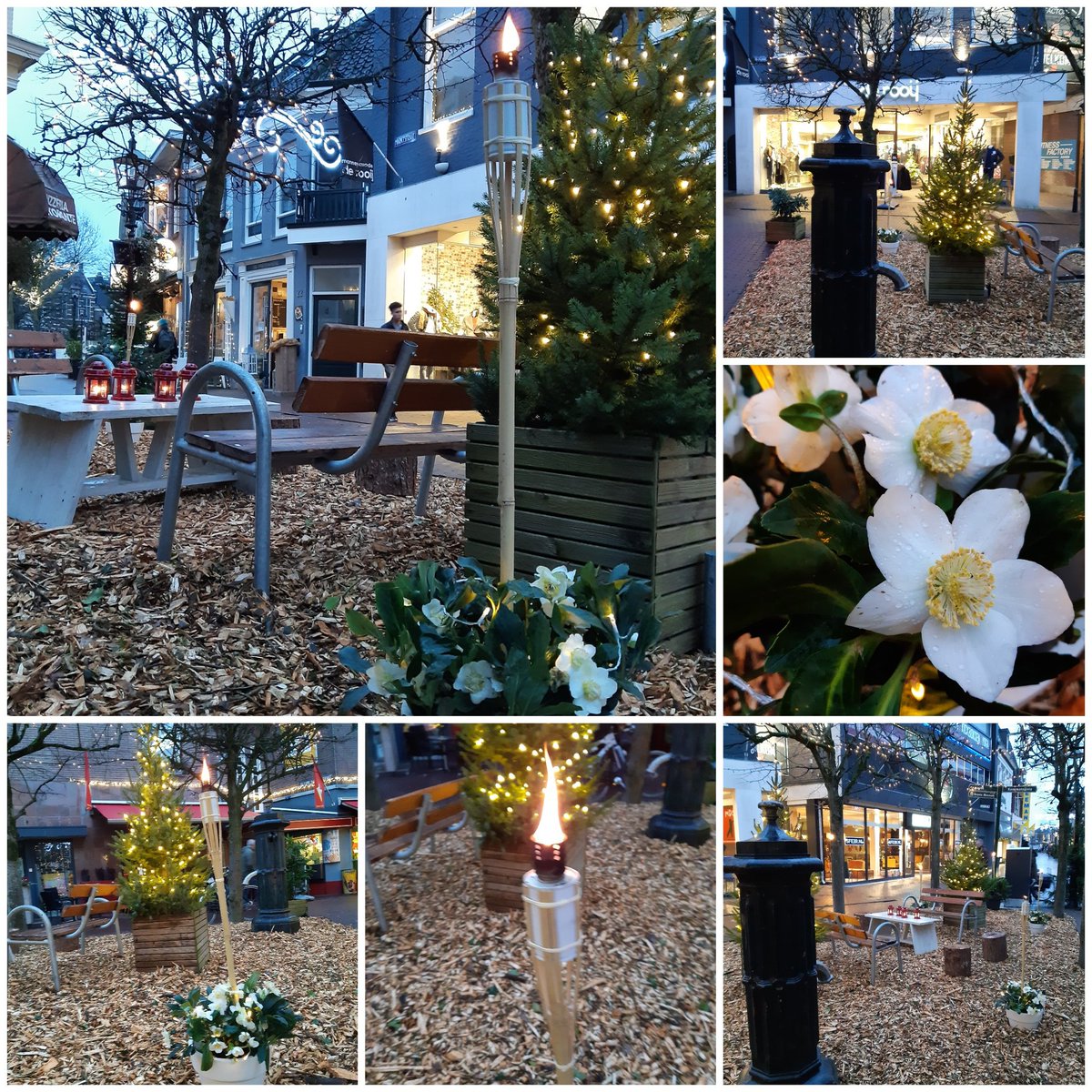 Pompplein's tweet photo. Het Pomppleintje wás al heel sfeervol, maar morgenmiddag wordt het er nóg gezelliger met
 Wollig &amp; Warm schapenvachtjes, https://t.co/WbvAyanvVu, een kinderkoor én er is heerlijke glühwein van Grand Cafe 't Wapen.
#kerst #kerstsfeer #Assen #pomppleintje #kruisstraat/marktstraat https://t.co/ghofzN3xOw