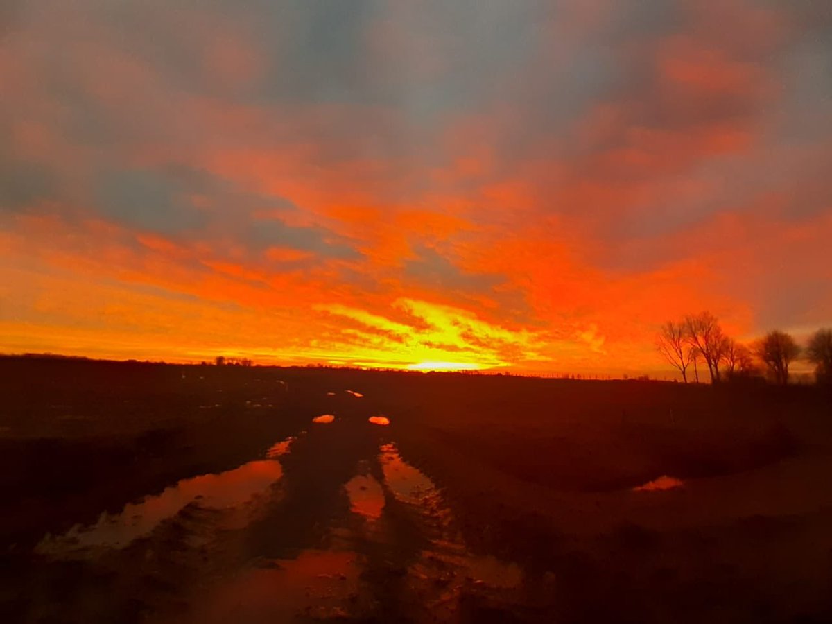 Of dit... Saaksum, Middag Humsterland, Groningen