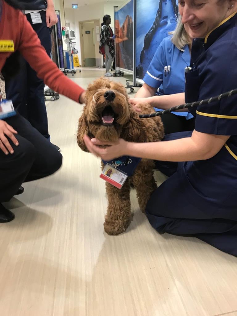 Neuromuscular Complex Care Centre tweet media