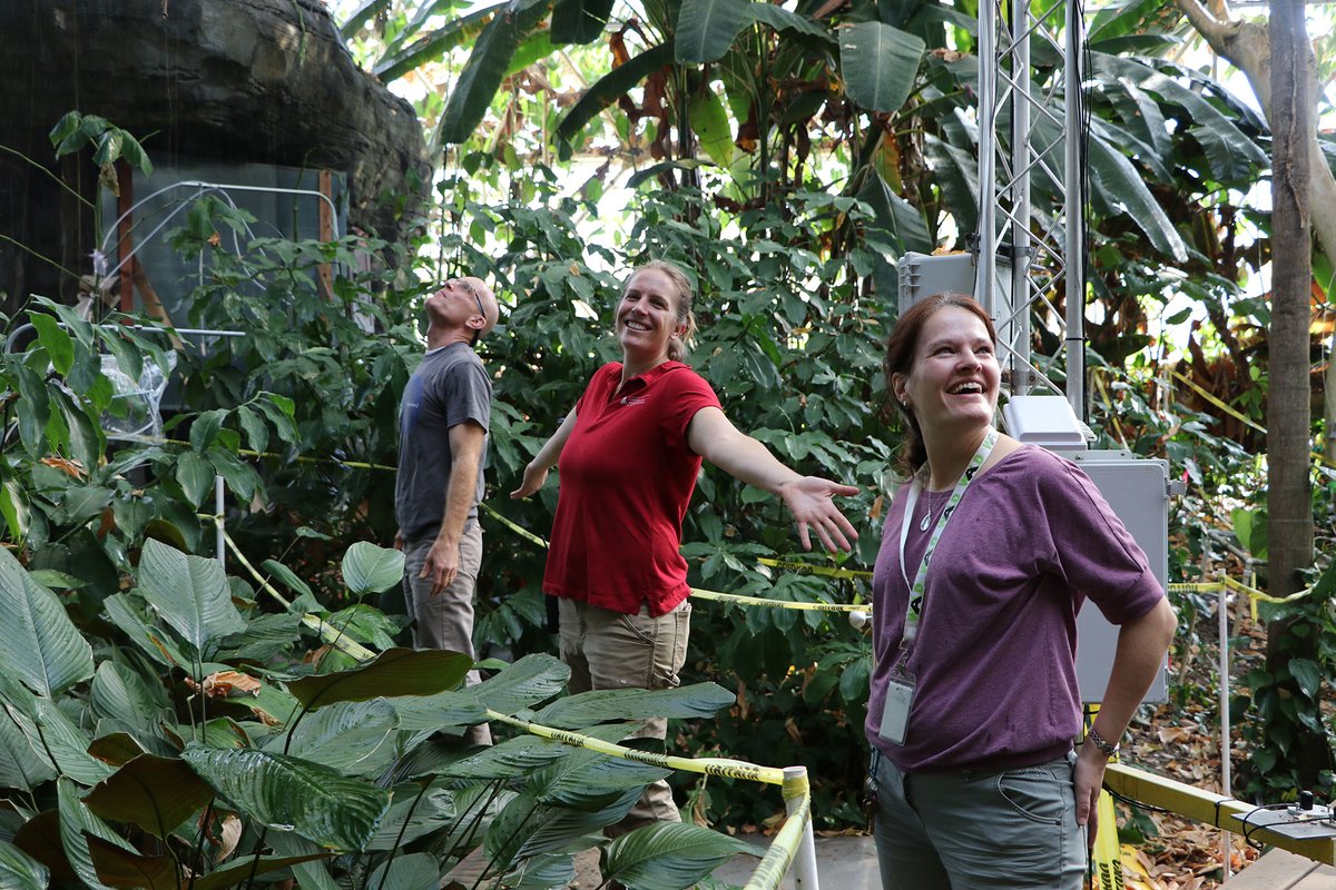 uarizona's tweet photo. How will rainforests respond to the combined pressures of warming and drought? Researchers simulated a full drought in the Biosphere 2 rainforest to find out, and released the rain again last week as they track how the ecosystem will recover. https://t.co/g8l6q9jFz2 https://t.co/OcAGy0QeTt