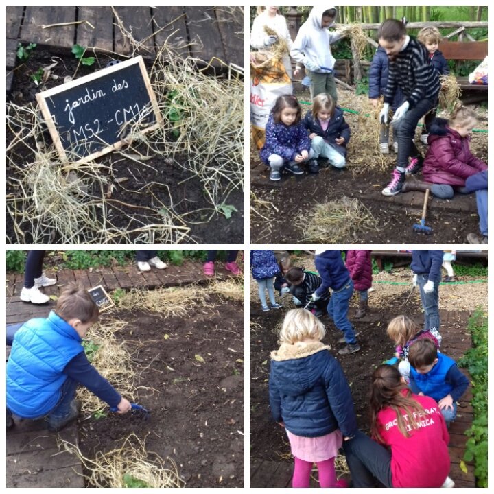 ChatoMs2's tweet photo. Protégeons notre potager! #projetpotager #intercycles  merci les @chatocm11 !  #moyennesection  #LFChateaubriand https://t.co/FsLgENSjeL