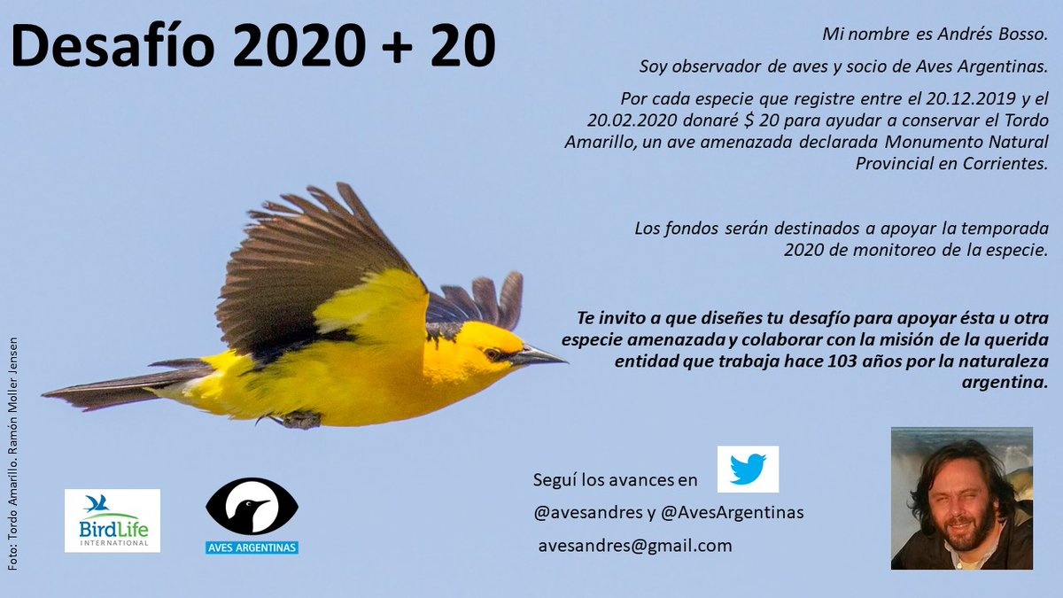 Andrés Bosso tweet media