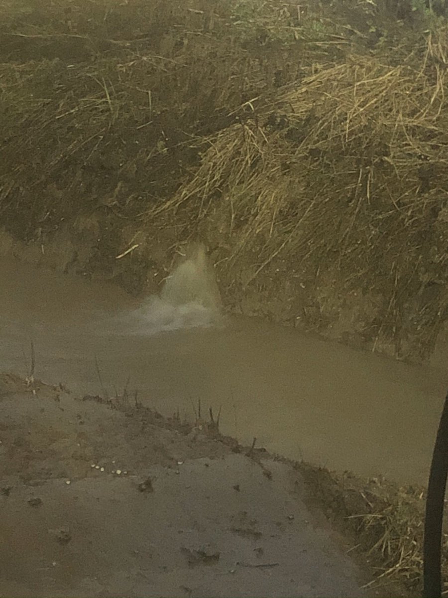 pooleplanthire's tweet photo. Back #dyking today @FinningNews #CAT308 land drains working hard #Lincolnshire #drainage https://t.co/yc8RJZZofj
