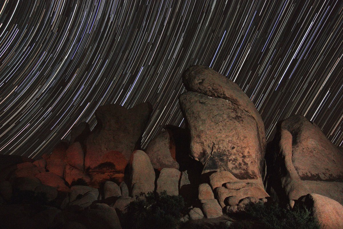They leave the lights up all year <a href="/JoshuaTreeNPS/">Joshua Tree NPS</a>.