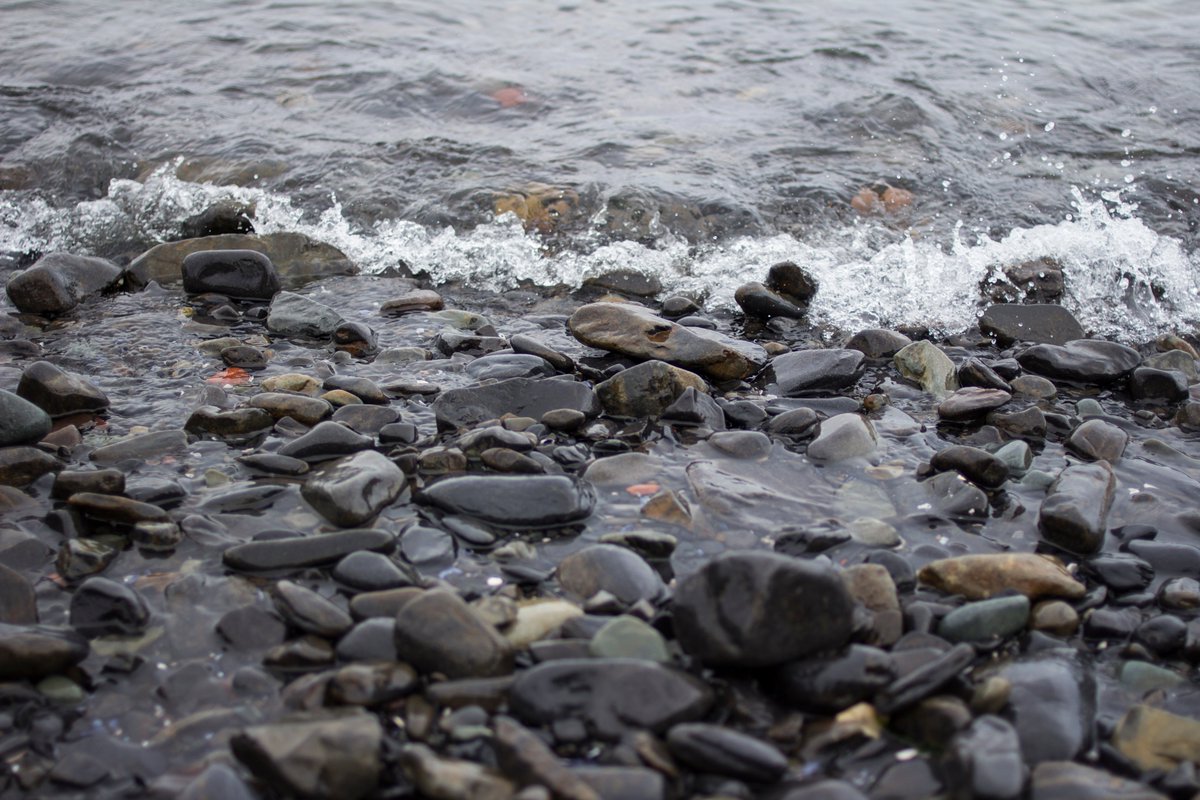 CleanFoundation's tweet image. Clean water and a #JustTransition guided @StephenMcNeil very difficult decision today - one that we support. There are opportunities in the #GreenEconomy for new jobs, and a new path forward - we're ready to help.

#CleanLeadership #CleanGrowth #BoatHarbour