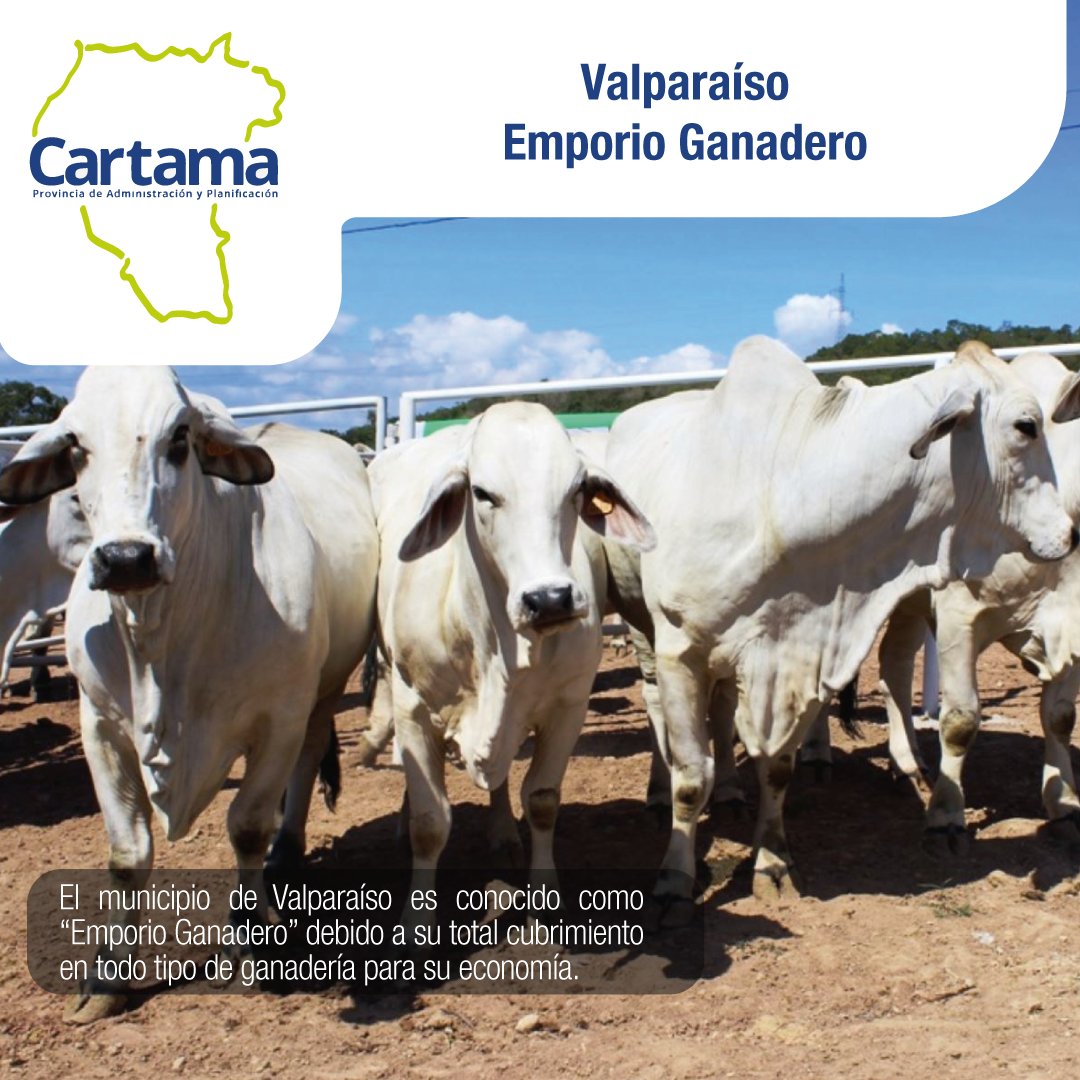 ¡Una economía muy sólida!

#Cartama #Suroeste #Antioquia #Provinciacartama #Somospapcartama #Valparaiso