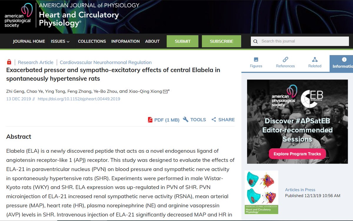 ajpheartcirc's tweet photo. #ArticlesInPress Exacerbated pressor and sympatho-excitatory effects of central Elabela in spontaneously hypertensive rats
https://t.co/L8CgRA8aVL
Nanjing Medical University

#Elabela #hypertension #bloodpressure #sympatheticnerveactivity https://t.co/5hHiTc5qWi