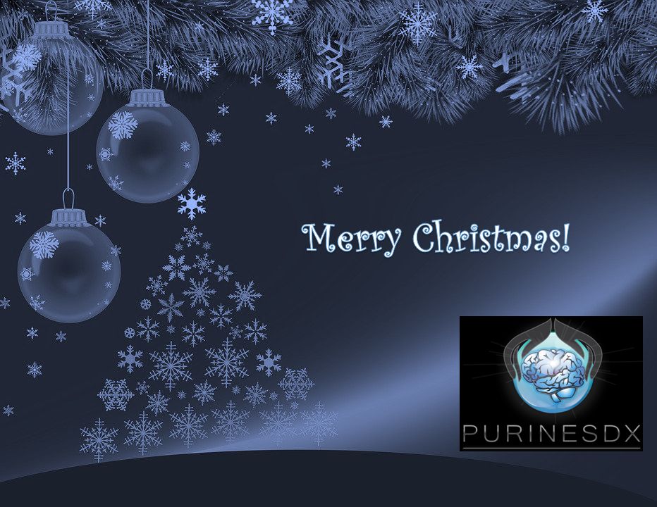 PurinesDX's tweet photo. From all the #PurinesDX team we wish you all a very #MerryChristmas and an amazing #2020 #InvestEUResearch #MSCA #H2020 #NollaigShona https://t.co/ZRJTgVaTcn