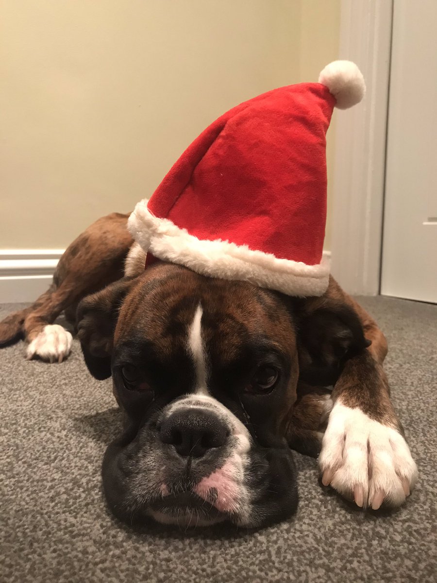 AliTheBoxer1's tweet photo. Happy birthday to Ali today 🎈 🎂 https://t.co/RwF5c2NlWy